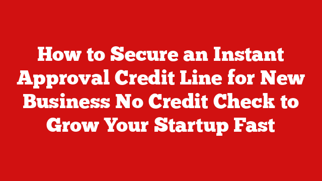 How to Secure an Instant Approval Credit Line for New Business No Credit Check to Grow Your Startup Fast